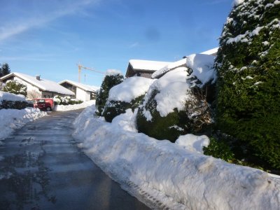 Scheidegg 1.JPG