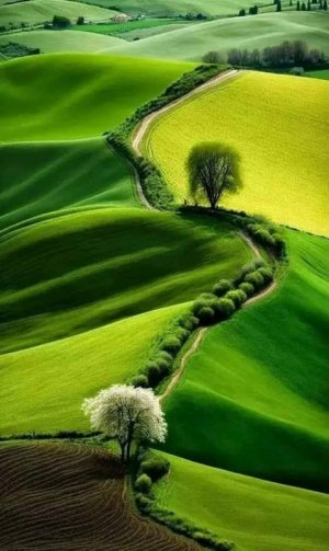 tumblr_80ae9c72f35934ab4576823ed75a4cee_b5462953_1280.jpg
