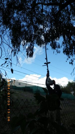 IMGP1023.JPG IMGP1023.JPG