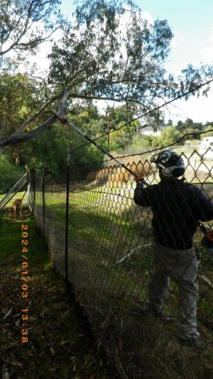 IMGP1030.JPG IMGP1030.JPG