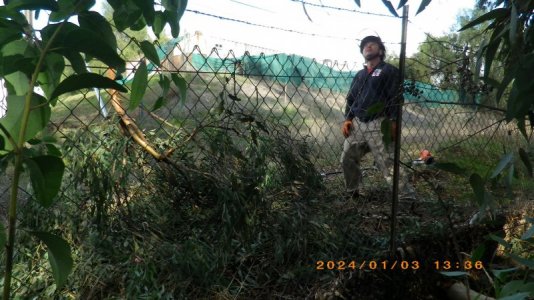 IMGP1024.JPG IMGP1024.JPG