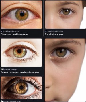 Screen Shot 2024-01-03 at 11.33.01 PM.jpeg Screen Shot 2024-01-03 at 11.33.01 PM.jpeg