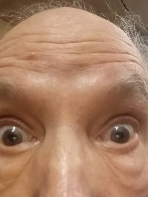 20240104_075134.jpg 20240104_075134.jpg