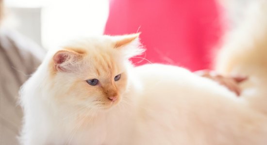 Ruby Mae17.jpg