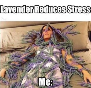 forstress.jpg