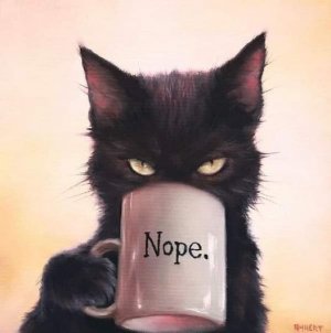 cattitude cup.jpg