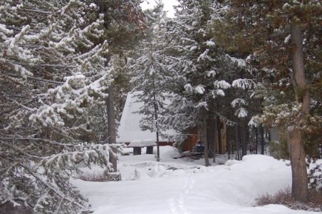 WINTERTABLE.jpg
