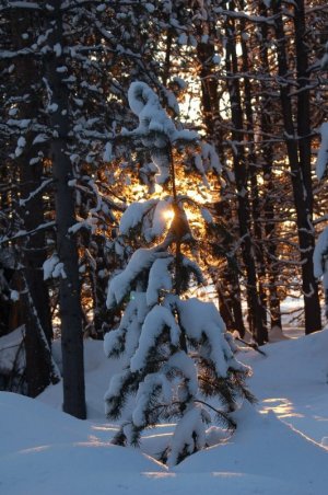DSC_0440.jpg