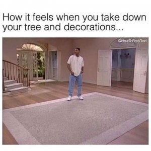 FB_IMG_1704318871882.jpg