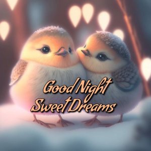 Today-special-Good-Night.jpg