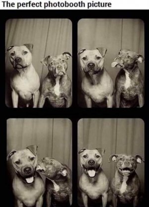 IMG_6071.jpeg