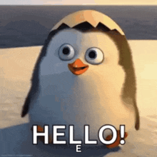 0001.gif