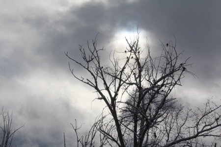 broken sky.jpg
