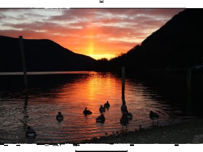 IMG_6112.jpeg