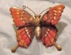 butterfly.jpg butterfly.jpg