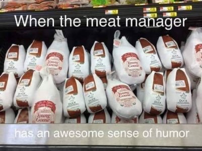 IMG_6051.jpeg