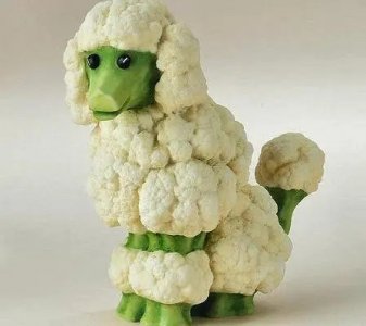 caulifoodle.jpg
