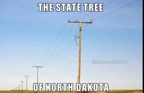 nd.JPG