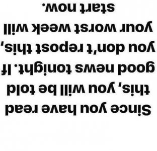 406570630_10224211113487183_1881873494389181642_n.jpg