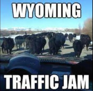 wyoming.JPG