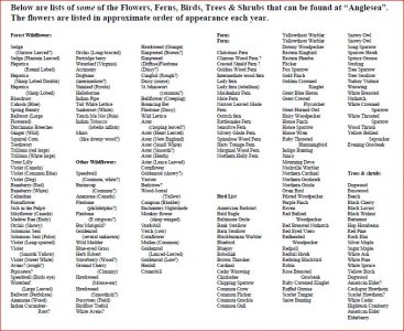 PlantList.JPG