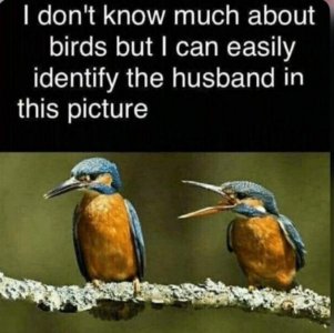 bird joke.jpg