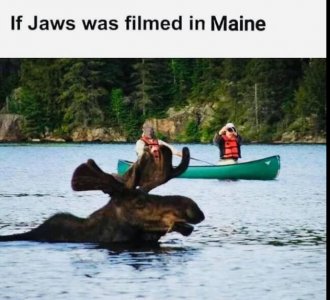 maine.JPG