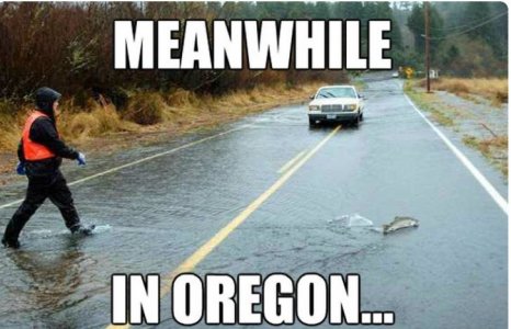 oregon.JPG
