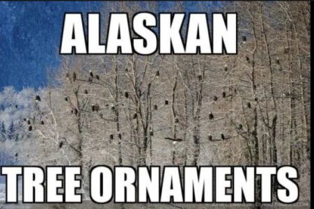 alaska.JPG