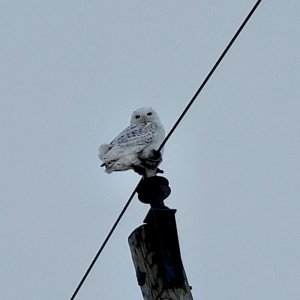 IMG_0466.jpeg
