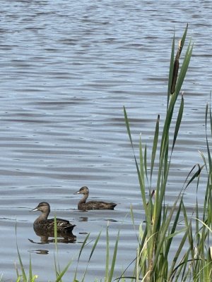 IMG_0879.jpeg