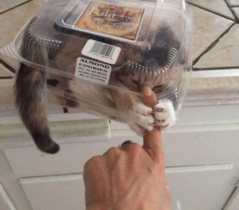 inthepackage.jpg