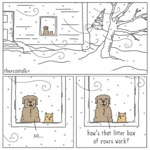 little snow.jpg