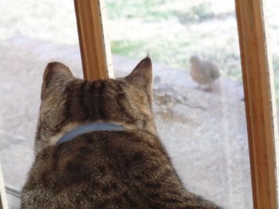 300 PLUS photos 353.JPG