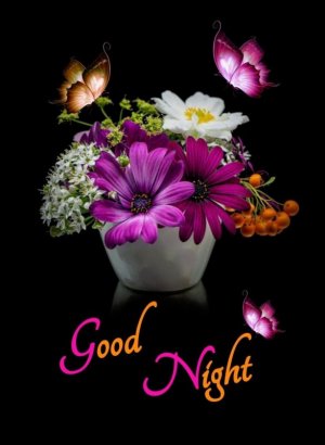GoodNight-Images-2-1077x1536.jpg