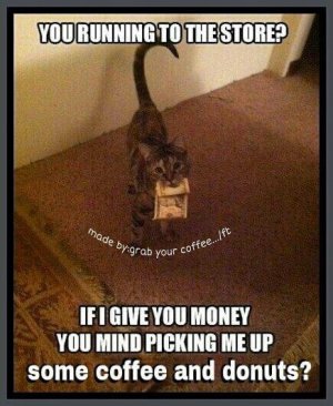 IMG_6149.jpeg