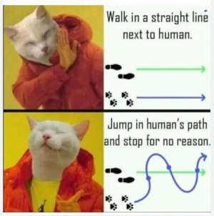 jkfgr.JPG
