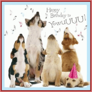 dog bday 2.gif