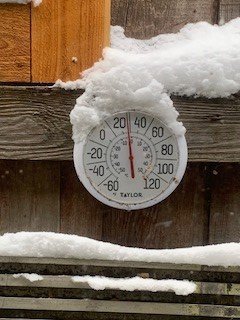 temp 2.jpg