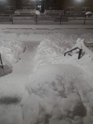 Big Snow 2.jpg
