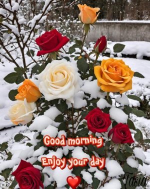 FB_IMG_1704931241657.jpg