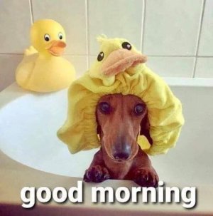 FB_IMG_1704910102686.jpg