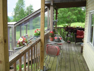 Flowers 2013 003.jpg