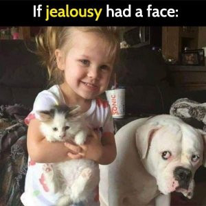 IMG_2287.jpeg