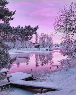 tumblr_cb4f7594fedf8179ec9822a7741d2822_087b9a06_640.jpg