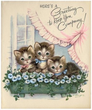 kittens in flowerbox.jpg