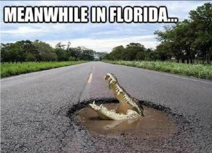 florida.JPG