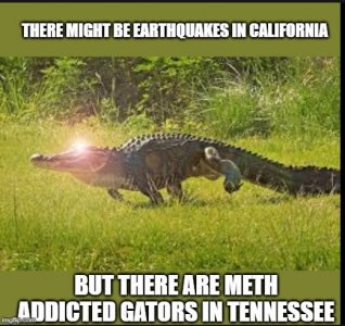 tenn.JPG