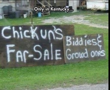 kentucky.JPG
