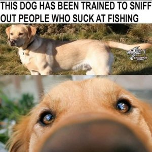 IMG_6197.jpeg
